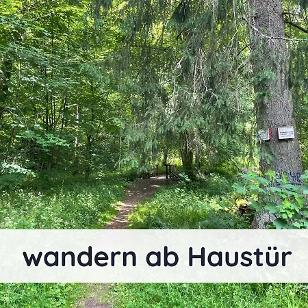 Der Fuchsbau - 3 Separate Blockhaeuser - Ruhige Lage - 50m Bis Zum Wald - Eingezaeunter Garten * Bad Sachsa