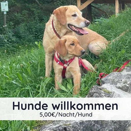 Der Fuchsbau - 3 Separate Blockhaeuser - Ruhige Lage - 50m Bis Zum Wald - Eingezaeunter Garten *