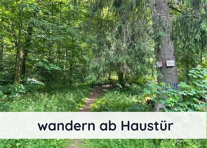 Der Fuchsbau - 3 Separate Blockhaeuser - Ruhige Lage - 50m Bis Zum Wald - Eingezaeunter Garten * Bad Sachsa