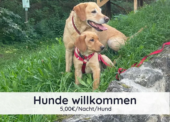 Der Fuchsbau - 3 Separate Blockhaeuser - Ruhige Lage - 50m Bis Zum Wald - Eingezaeunter Garten *